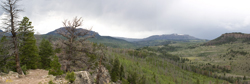 Stump Park Road in Clouds 7716